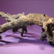 Illustration for article titled How we know that this is a piece of fossilized lightning
